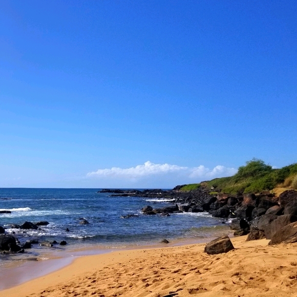 Mostly here to SHOP! Lol! - Picture 1 of 1